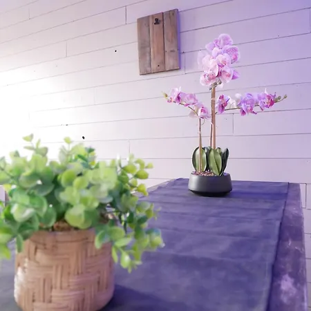 La Grande Pecherie Nocleg ze śniadaniem 3*